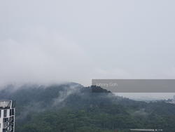 Eco Sanctuary (D23), Condominium #142679792
